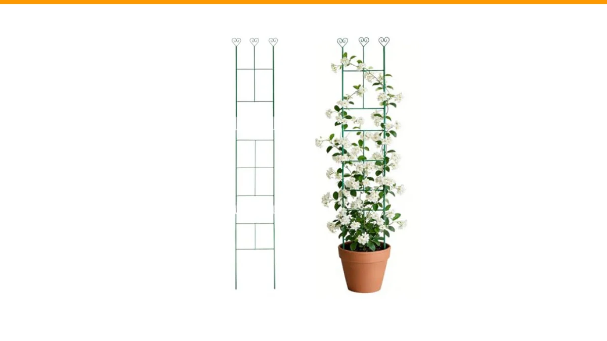trellis for indoor climbing plants