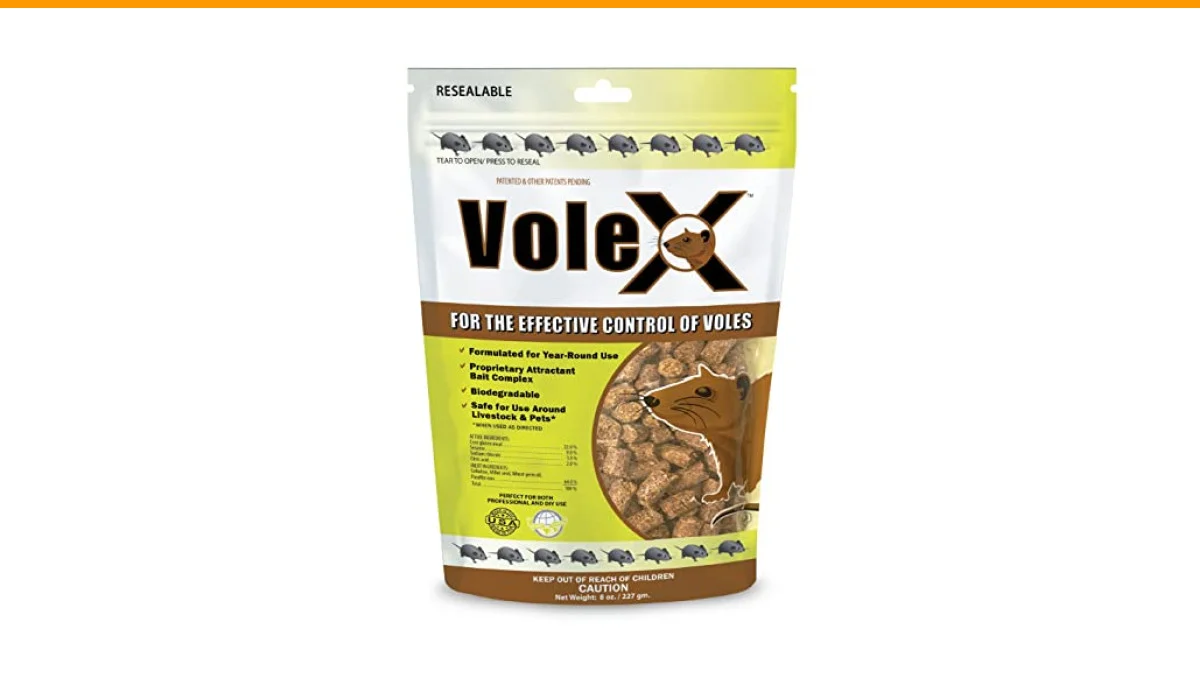 Effective Vole Control in Your Vegetable Garden 3 Effective Vole Control in Your Vegetable Garden