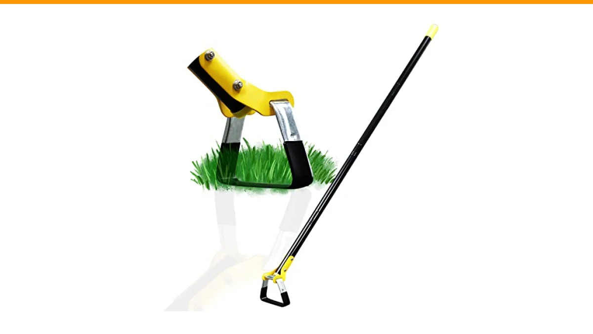 Weeder vs Hoe Comparison: Which Tool Is Right for You? 6 weeder vs hoe comparison