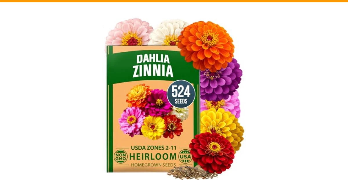 when to plant annual flowers