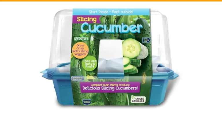 why do cucumber leaves turn yellow