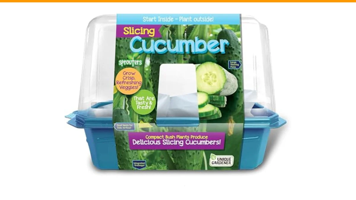 why do cucumber leaves turn yellow